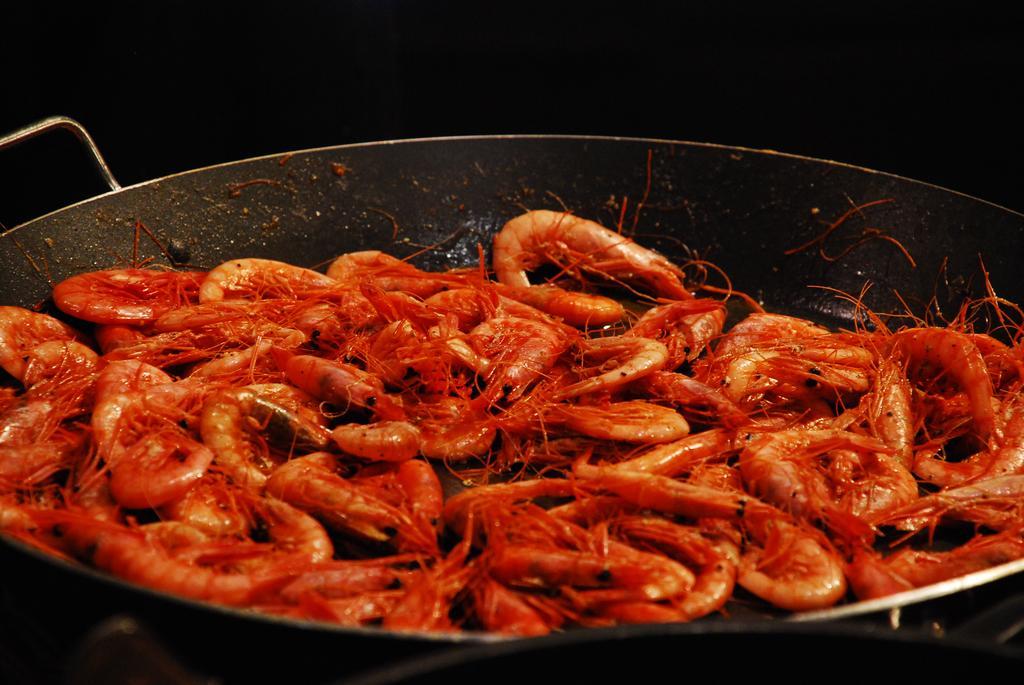 Hotel Rosa Dels Vents 산 안토니 드 칼론헤 외부 사진